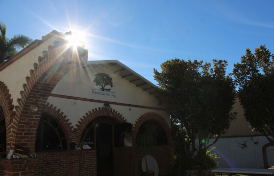 terapia-en-rehabilitacion-en-mexico